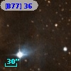 [B77]  36
