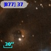 [B77]  37