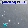 [MSH2004] 33142