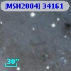 [MSH2004] 34161