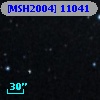 [MSH2004] 11041