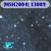 [MSH2004] 13009