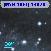 [MSH2004] 13020