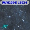 [MSH2004] 13024