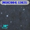 [MSH2004] 13025