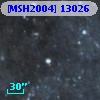 [MSH2004] 13026