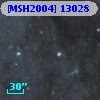 [MSH2004] 13028