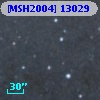 [MSH2004] 13029