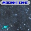 [MSH2004] 13045
