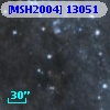 [MSH2004] 13051