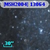 [MSH2004] 13064