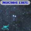 [MSH2004] 13075