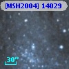 [MSH2004] 14029