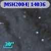 [MSH2004] 14036