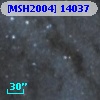 [MSH2004] 14037