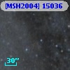 [MSH2004] 15036