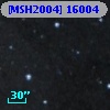 [MSH2004] 16004