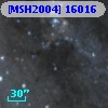 [MSH2004] 16016