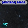 [MSH2004] 16020