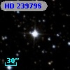 HD 239798