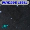 [MSH2004] 16081