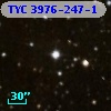 TYC 3976-247-1