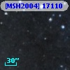 [MSH2004] 17110
