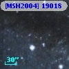[MSH2004] 19018