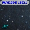 [MSH2004] 19021