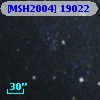 [MSH2004] 19022
