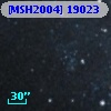 [MSH2004] 19023