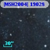 [MSH2004] 19028