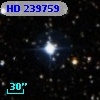 HD 239759
