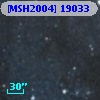 [MSH2004] 19033