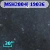 [MSH2004] 19036