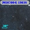 [MSH2004] 19038