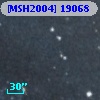 [MSH2004] 19068