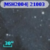 [MSH2004] 21003