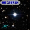 HD 239719