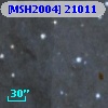 [MSH2004] 21011