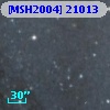 [MSH2004] 21013