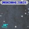 [MSH2004] 21021