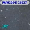 [MSH2004] 21027