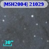 [MSH2004] 21029