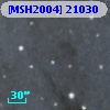 [MSH2004] 21030
