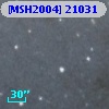 [MSH2004] 21031