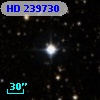 HD 239730