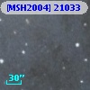 [MSH2004] 21033