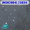 [MSH2004] 21034