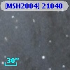 [MSH2004] 21040